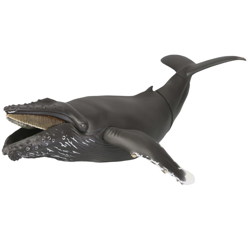 Soft Vinyl Toy Box 013 Humpback Whale image 1