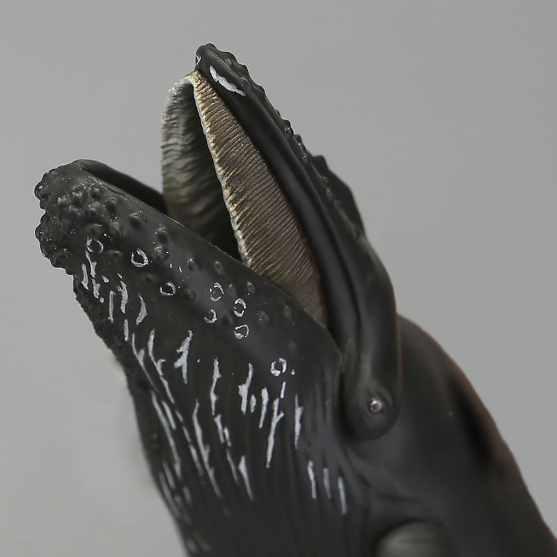 Soft Vinyl Toy Box 013 Humpback Whale image 10