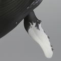 Soft Vinyl Toy Box 013 Humpback Whale thumbnail 13