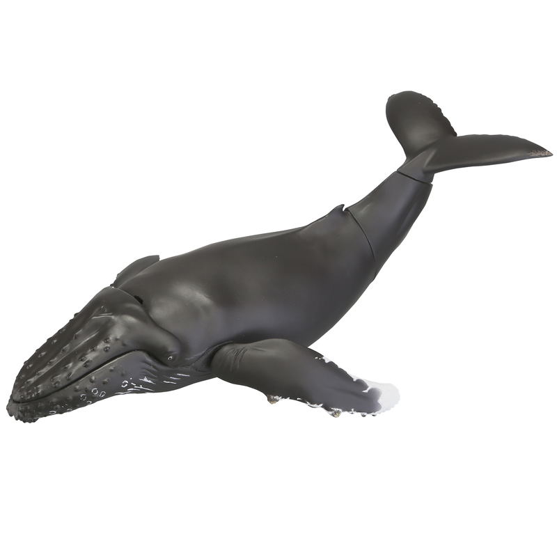Soft Vinyl Toy Box 013 Humpback Whale image 2