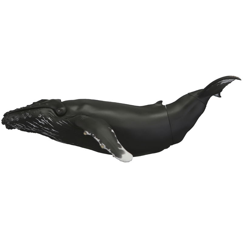 Soft Vinyl Toy Box 013 Humpback Whale image 5