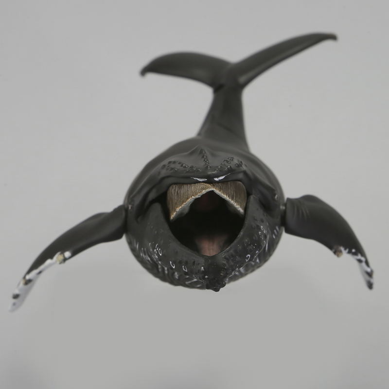 Soft Vinyl Toy Box 013 Humpback Whale image 9