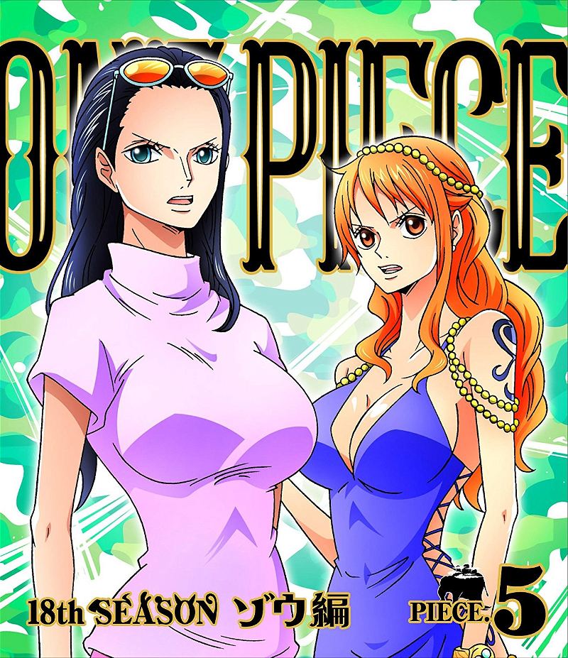 One Piece - 18th Season Zou Hen Piece 6