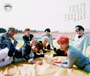 The Most Beautiful Moment in Life Young Forever [2CD+DVD Japanese Edition]_