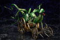 Shin Megami Tensei: Demon Lord Mara thumbnail 5