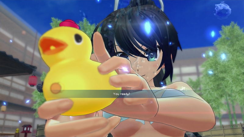Senran Kagura: Peach Beach Splash [No Shirt, No Shoes, All Service Edition] image 4