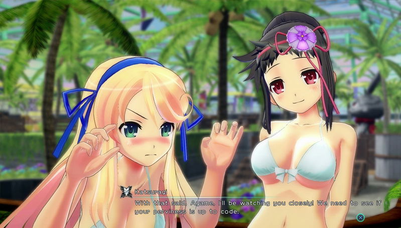Senran Kagura: Peach Beach Splash [No Shirt, No Shoes, All Service Edition] image 6