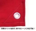 Mobile Suit Gundam Unicorn Neo Zeon Military Flag thumbnail 3
