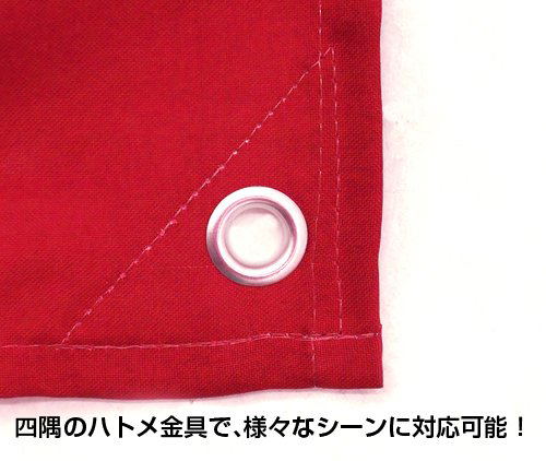 Mobile Suit Gundam Unicorn Neo Zeon Military Flag image 3