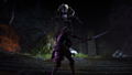 The Elder Scrolls Online: Morrowind (DVD-ROM) thumbnail 12