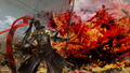 Warriors All-Stars thumbnail 12