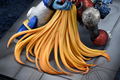 Rockman X Comic Version 1/7 Scale Pre-Painted Figure: X & Zero - To the Nostalgic Future... thumbnail 6