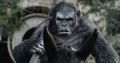 Dawn Of The Planet Of The Apes [Blu-ray+Digital HD] thumbnail 10