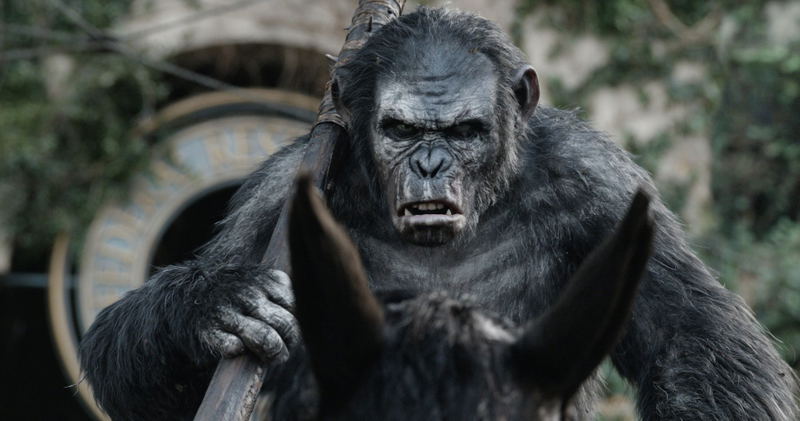 Dawn Of The Planet Of The Apes [Blu-ray+Digital HD] image 10