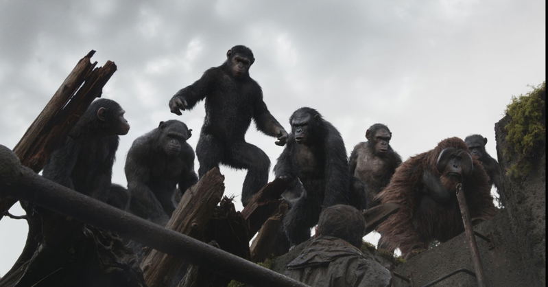Dawn Of The Planet Of The Apes [Blu-ray+Digital HD] image 11