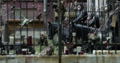 Dawn Of The Planet Of The Apes [Blu-ray+Digital HD] thumbnail 3