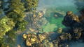 Shadow Tactics: Blades of the Shogun thumbnail 7