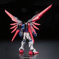 Mobile Suit Gundam 1/144 Scale Model Kit: ZGMF-X42S Destiny Gundam (RG)