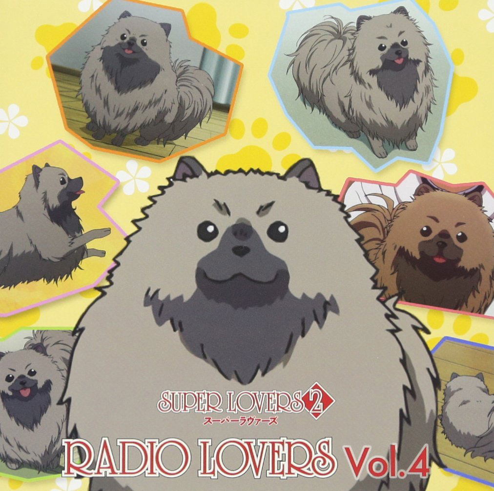 Super Lovers Radio Lovers Vol.4 [CD+CD-ROM] — Import Game Deal