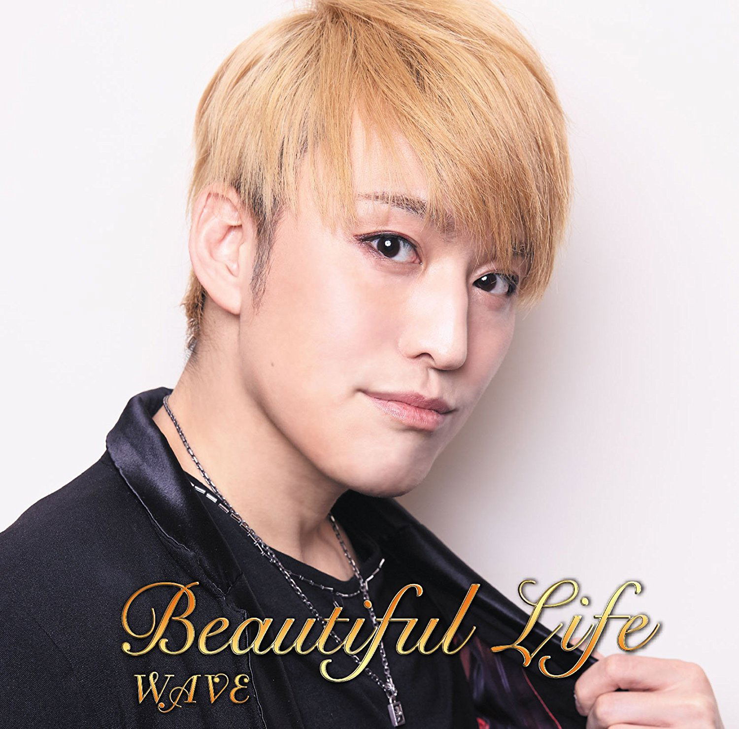 Beautiful Life (Yasu Solo Cover Ver.) [Type D] — Import Game Deal