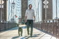 John Wick: Chapter 2 [4K Ultra HD Blu-ray] thumbnail 6