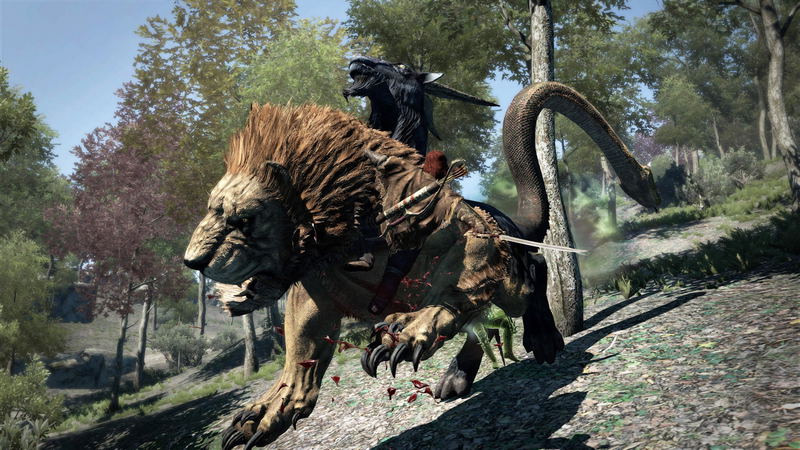 Dragon’s Dogma: Dark Arisen image 6