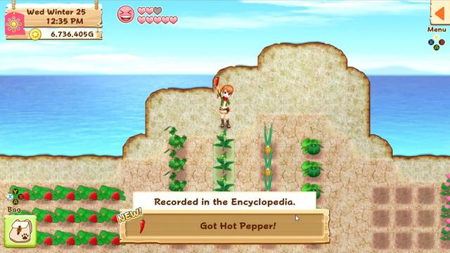 Harvest Moon: Light of Hope [Special Edition] image 3