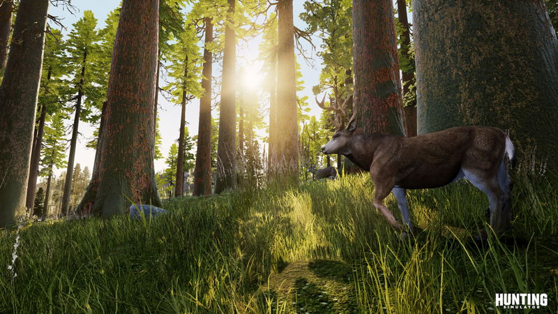 Hunting Simulator image 2