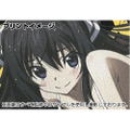 Infinite Stratos Houki Shinonono Full Color Work Shirt Nose Art Ver. Black (XL Size) thumbnail 6