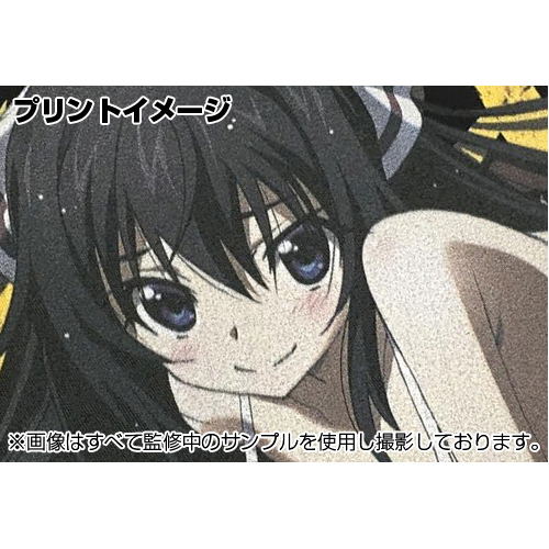 Infinite Stratos Houki Shinonono Full Color Work Shirt Nose Art Ver. Black (XL Size) image 6