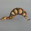 Soft Vinyl Toy Box 015A Tsuchinoko thumbnail 13