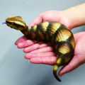 Soft Vinyl Toy Box 015A Tsuchinoko thumbnail 14