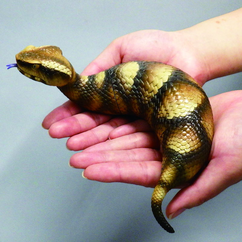 Soft Vinyl Toy Box 015A Tsuchinoko image 14