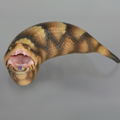 Soft Vinyl Toy Box 015A Tsuchinoko thumbnail 7