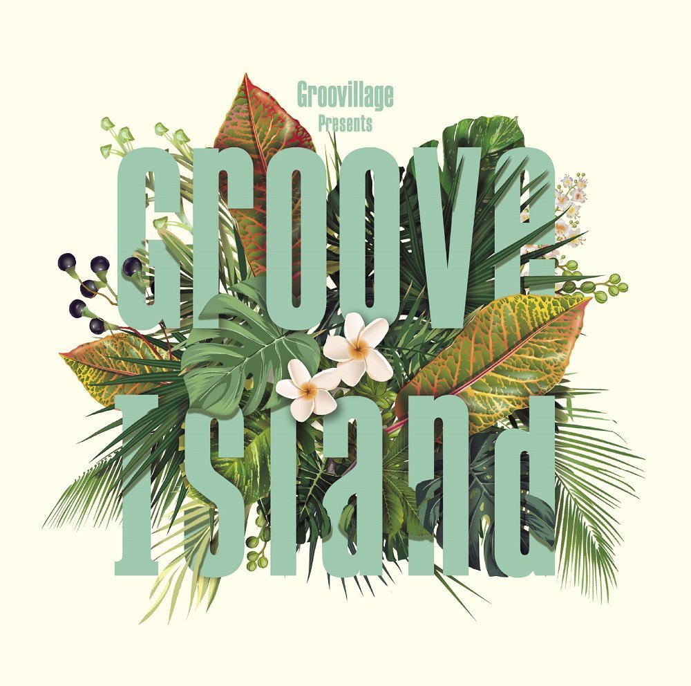 Groove Island — Import Game Deal