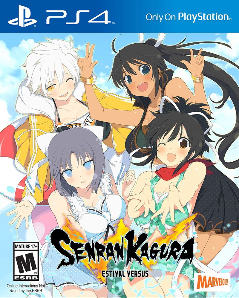 Senran Kagura: Estival Versus image 1