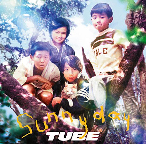 Sunny Day — Import Game Deal