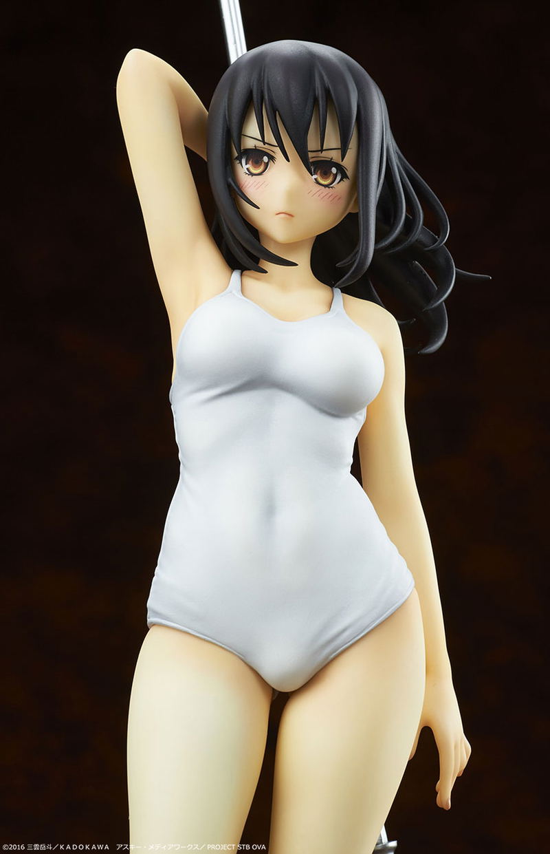 Strike the Blood II 1/7 Scale Painted Figure: Yukina Himeragi White School Swimsuit Ver. image 12