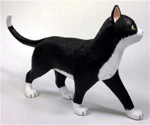 4D VISION Animal Dissection No. 29: Cat Anatomy Model Black / White (Re-run)