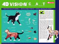 4D VISION Animal Dissection No. 29: Cat Anatomy Model Black / White (Re-run) thumbnail 7