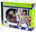 4D VISION Animal Dissection No. 29: Cat Anatomy Model Black / White (Re-run) thumbnail 8