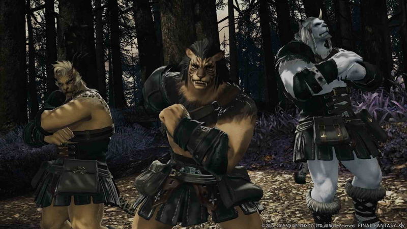 Final Fantasy XIV (Complete Edition) <span class="ext ext_Official Website">Official Website</span> <span class="ext ext_digital">digital</span> image 8