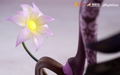 The Legend of Qin 1/7 Scale Pre-Painted Figure: Shao Siming Normal Ver. thumbnail 10