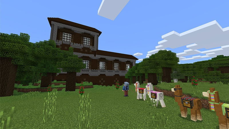 Minecraft Super Plus Pack image 4