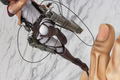 Attack on Titan 1/7 Scale Pre-Painted Figure: Mikasa Ackerman thumbnail 9