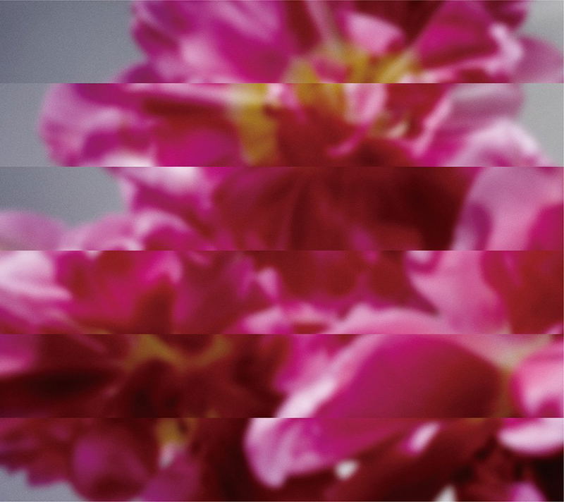 Nando Demo Atarashiku Umareru [CD+DVD] image 1