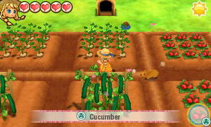 Story of Seasons: Trio of Towns_