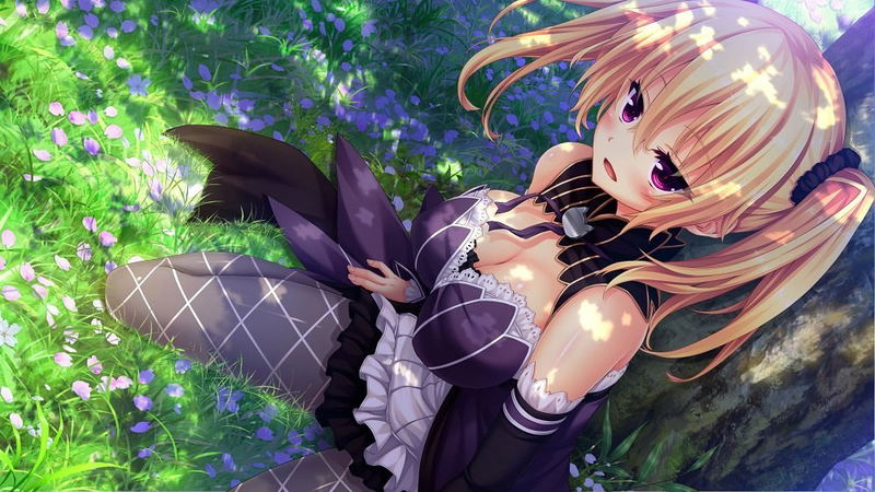 Nora Princess and Stray Cat image 2