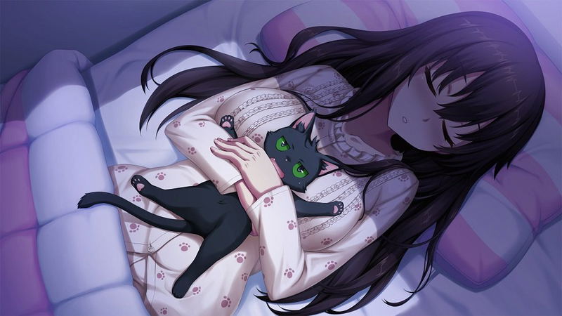 Nora Princess and Stray Cat image 3