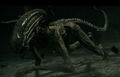 Alien: Covenant [Blu-ray+DVD+Digital HD] thumbnail 13